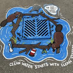 Sauga City (Andrew Mccandless Park) - Clean Water Starts With Clean Streets